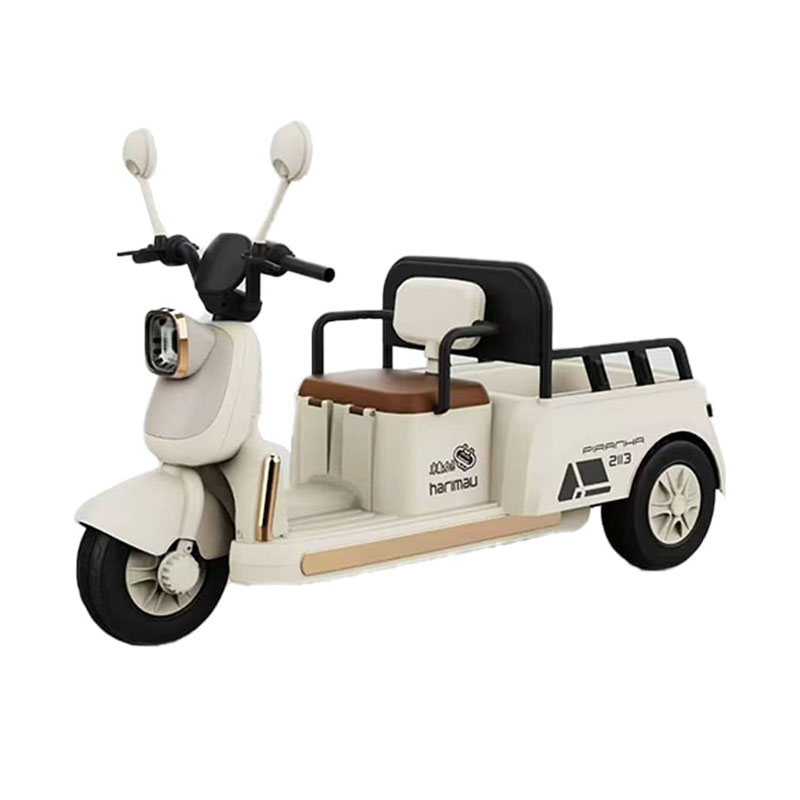 Kids Electric Tricycle with Multiple Configurations Available
